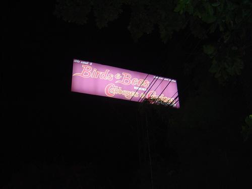 805.jpg